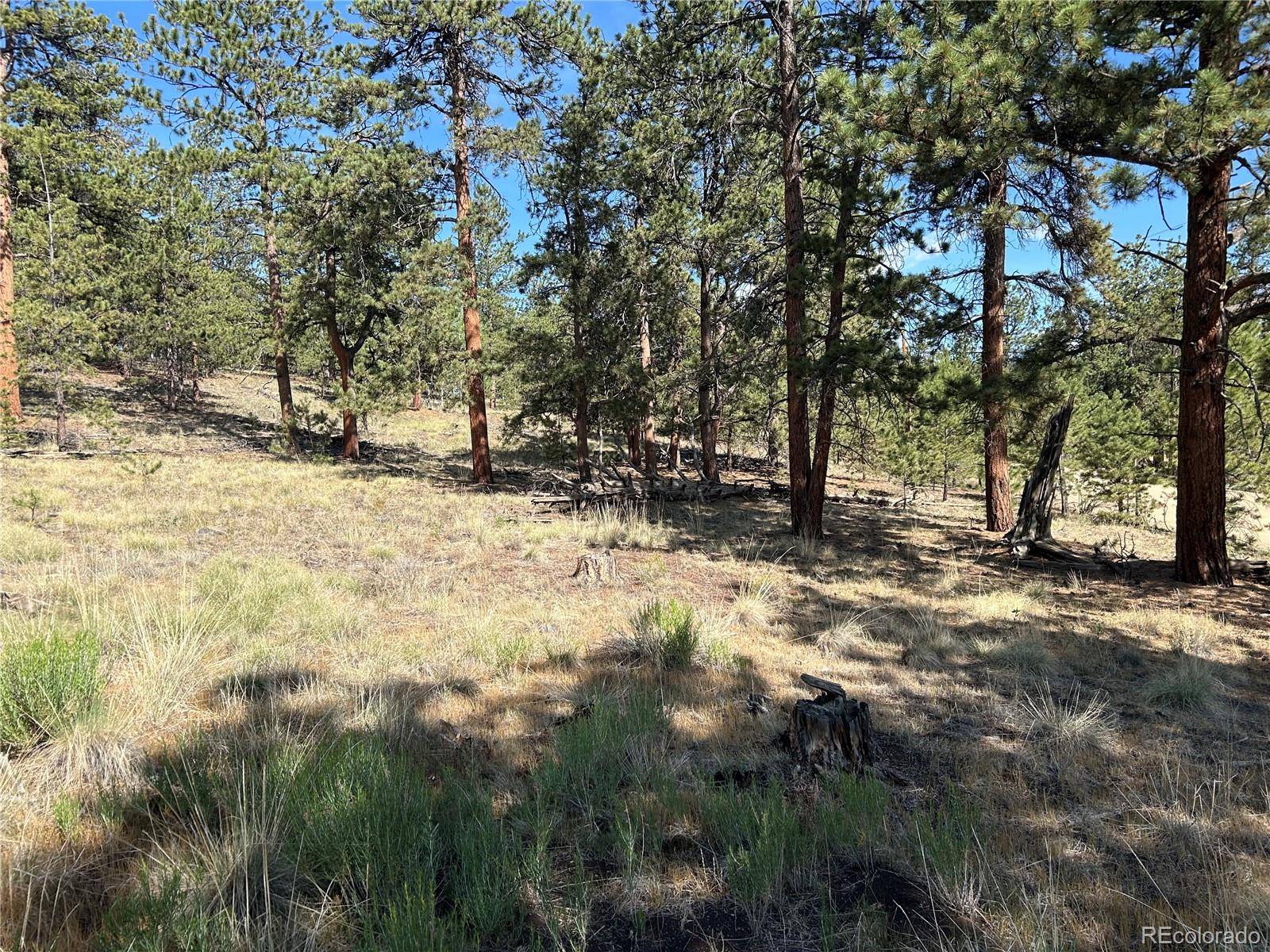 565 Hayhook WAY, Hartsel, CO 80449