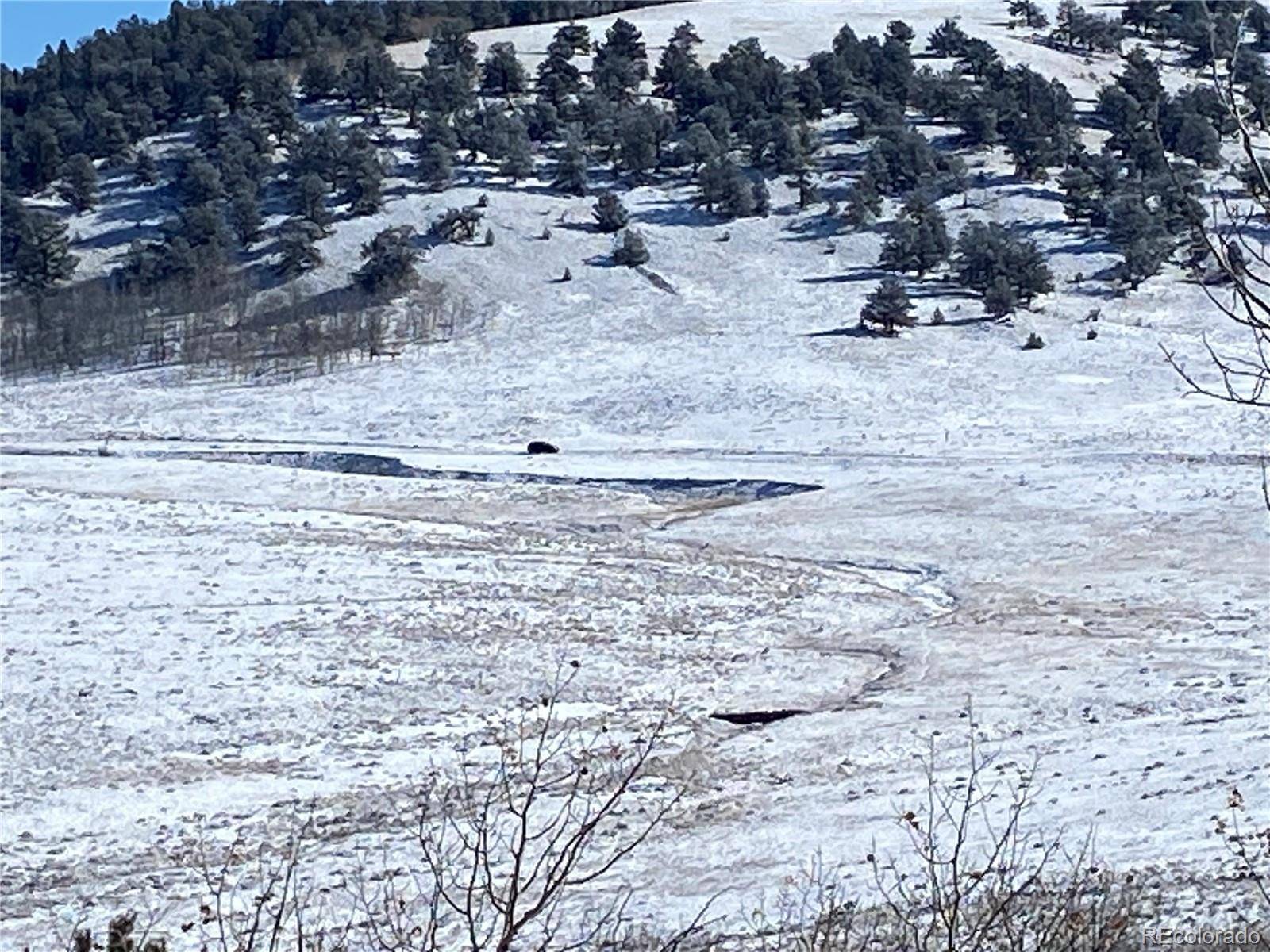 157 Crow CT, Como, CO 80432
