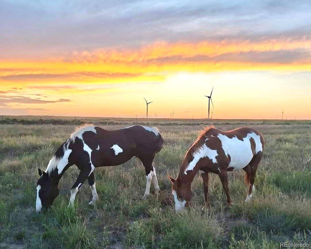 53647 County Road 36.4, Genoa, CO 80818