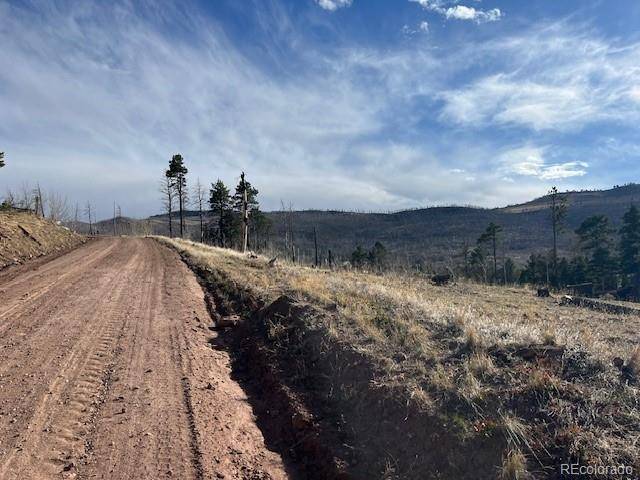 Lot 1020 & 1021 Hassan LN, Fort Garland, CO 81133