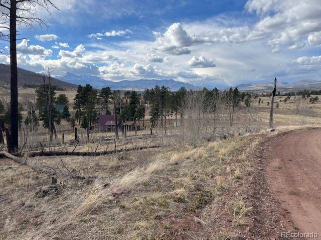 Lot 1020 & 1021 Hassan LN, Fort Garland, CO 81133