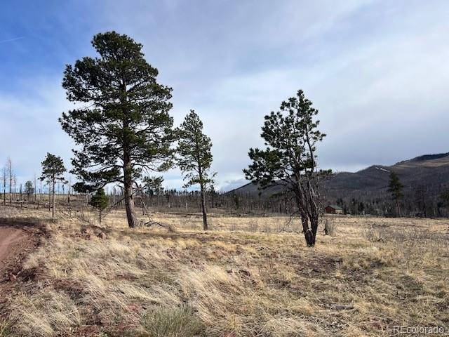 Lot 1020 & 1021 Hassan LN, Fort Garland, CO 81133