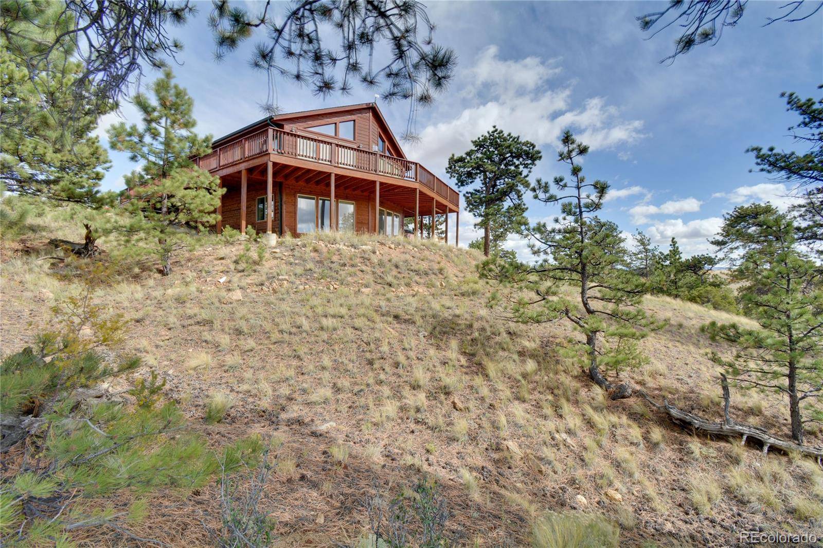423 Wagon Wheel RD, Hartsel, CO 80449