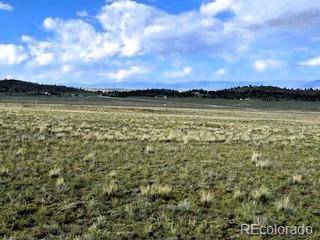 599 Summit RD, Hartsel, CO 80449