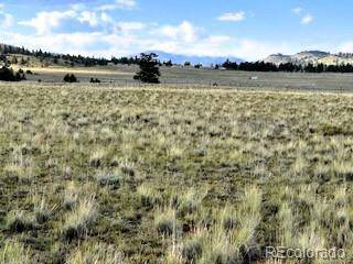 599 Summit RD, Hartsel, CO 80449