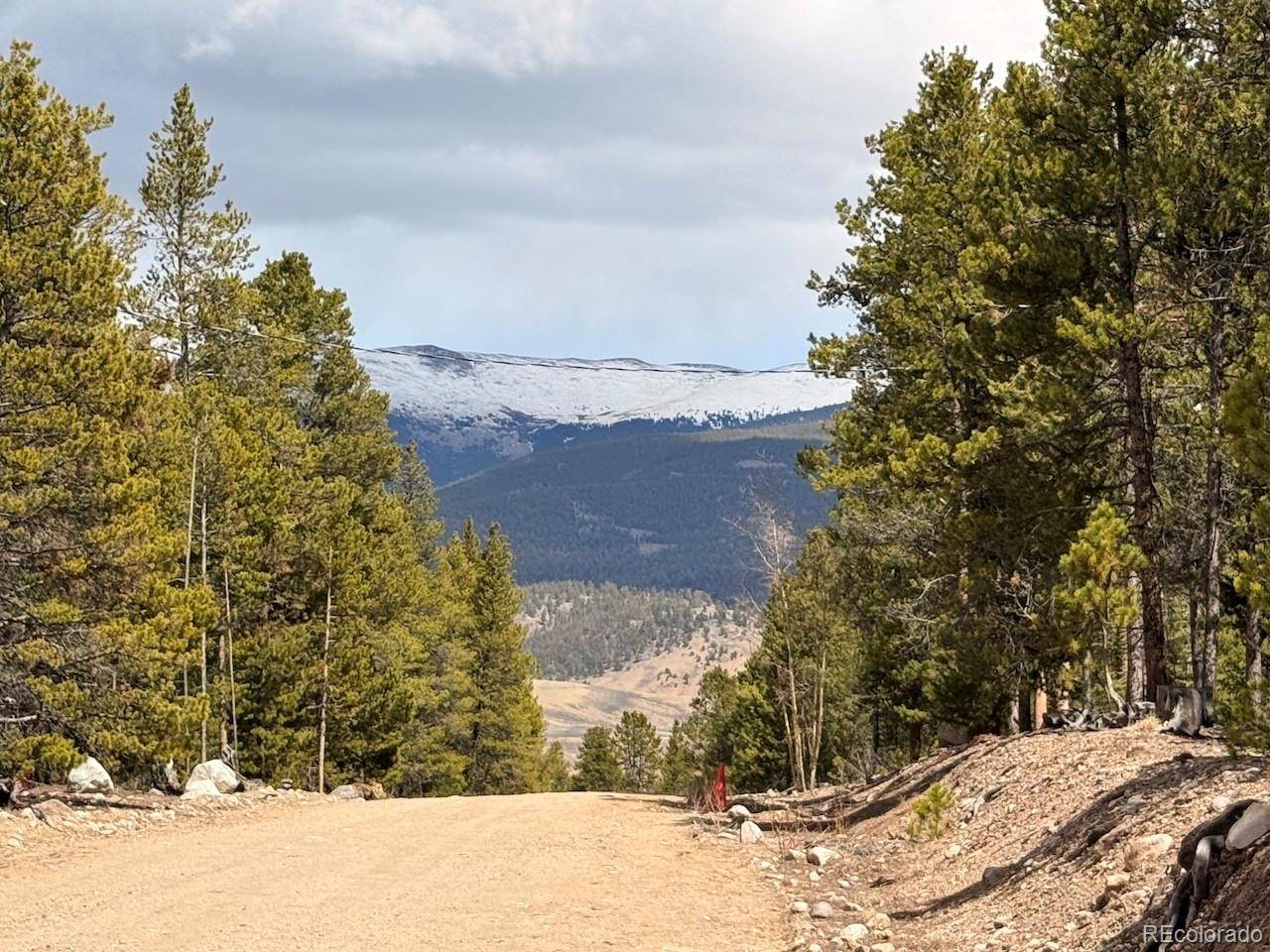 104 Spruce DR, Twin Lakes, CO 81251