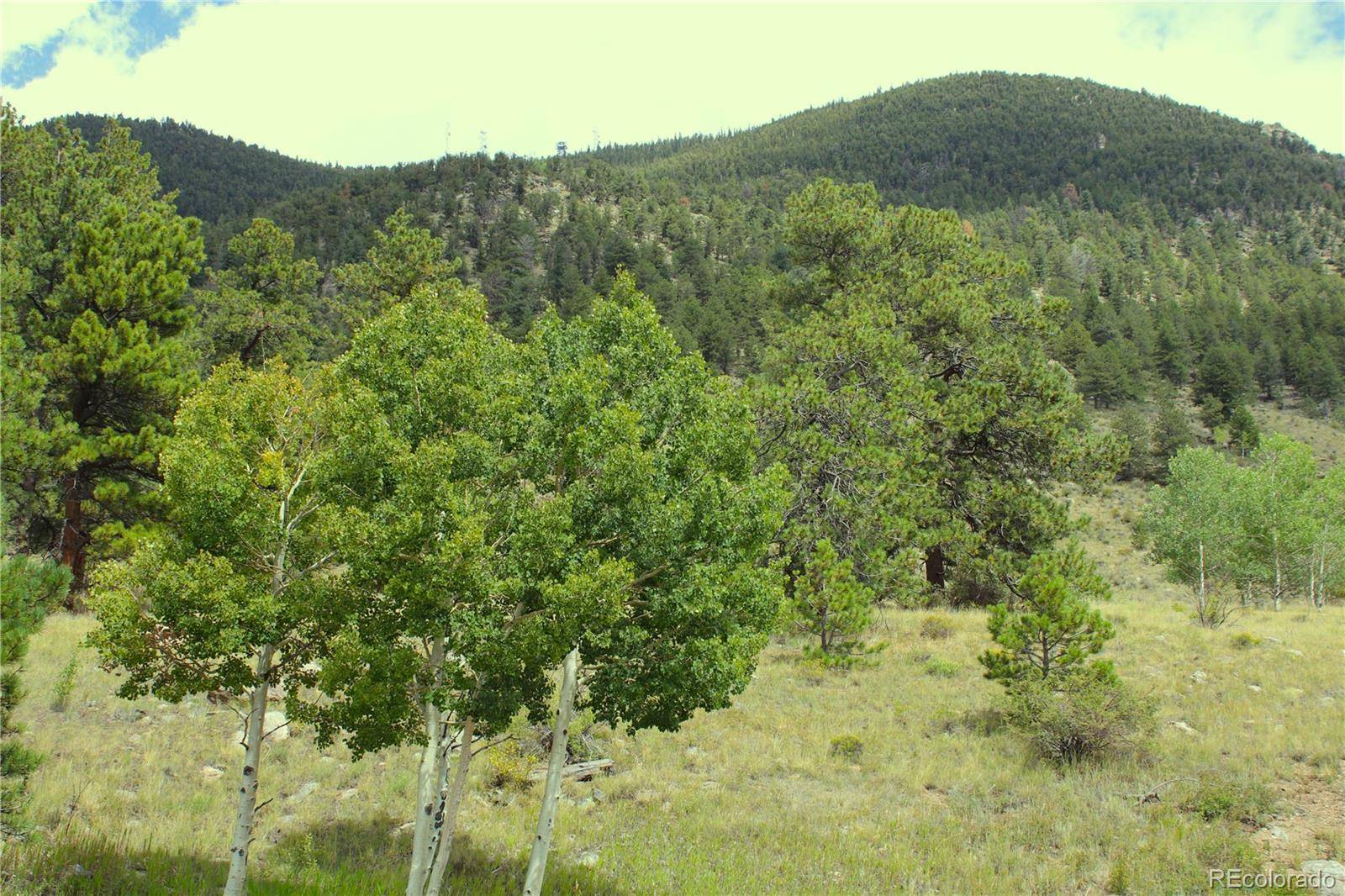 Hwy 24, Hartsel, CO 80827