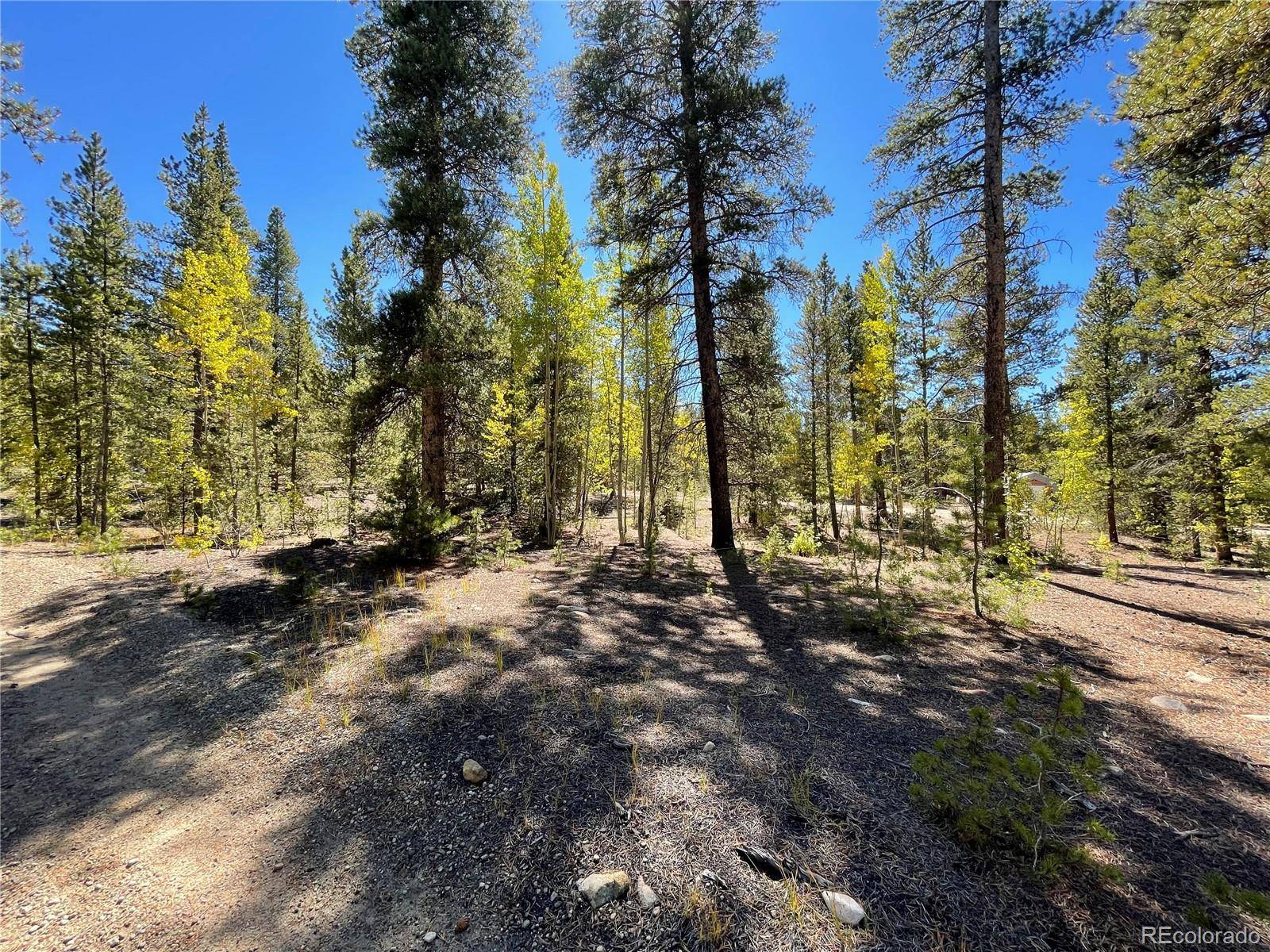 200 Virginia AVE, Leadville, CO 80461