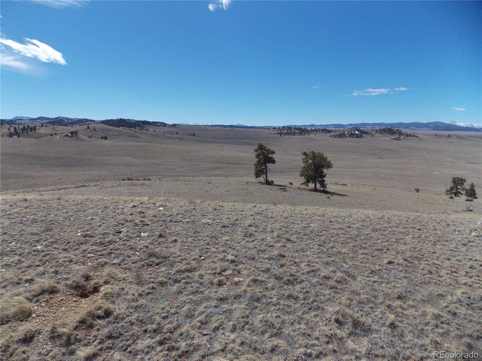 Lot 5795 Guipago TRL, Hartsel, CO 80449