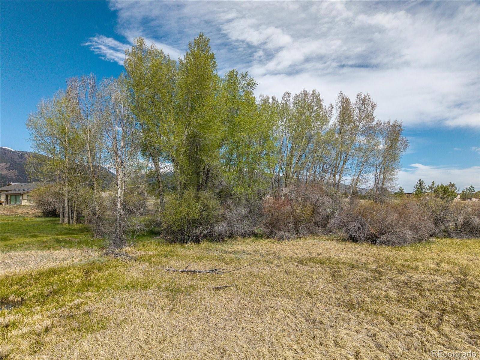 CR 361A, Buena Vista, CO 81211