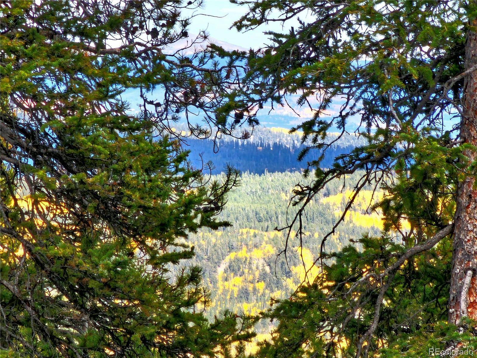 387 El Lobo LN, Fairplay, CO 80440