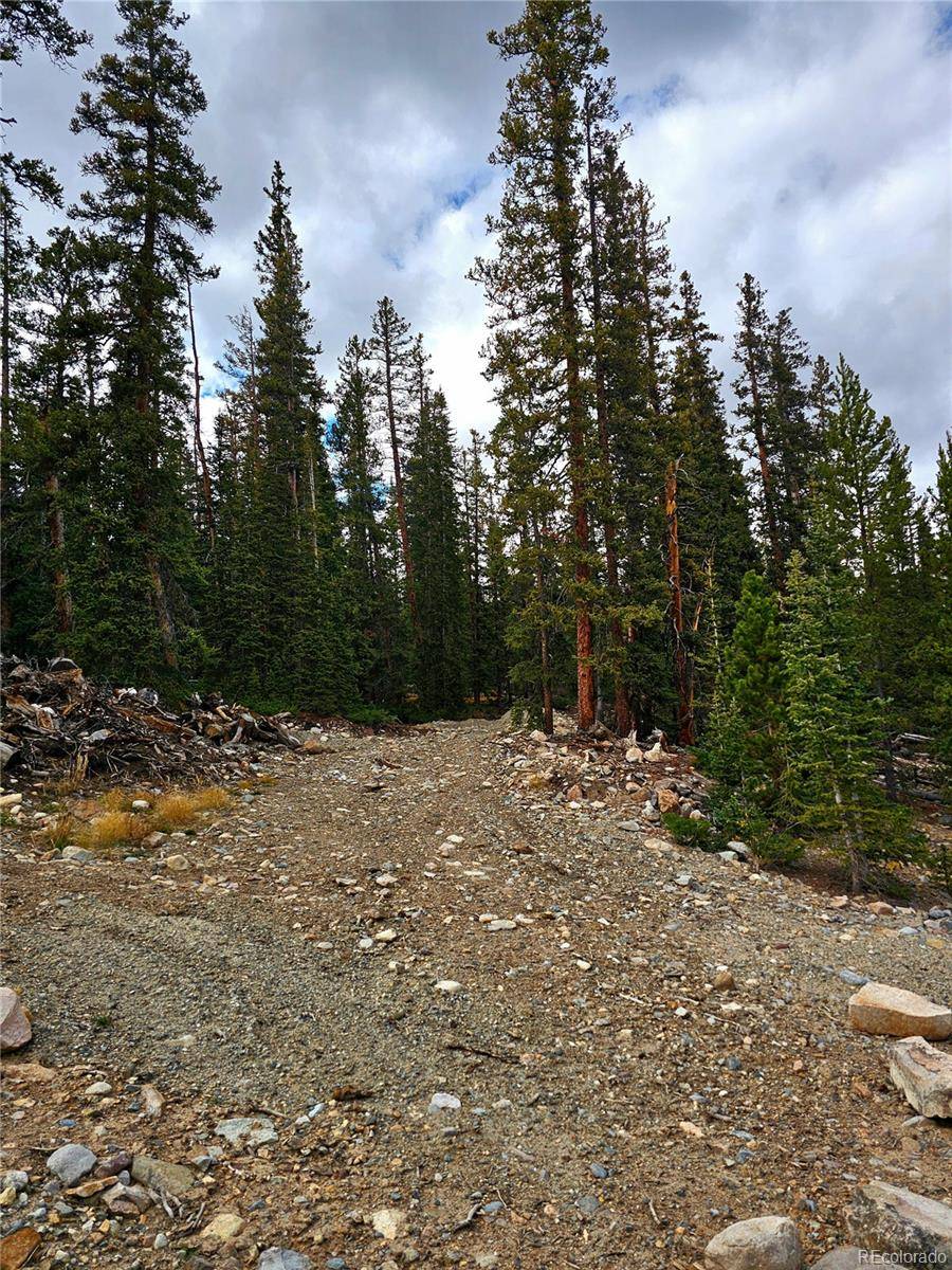 387 El Lobo LN, Fairplay, CO 80440