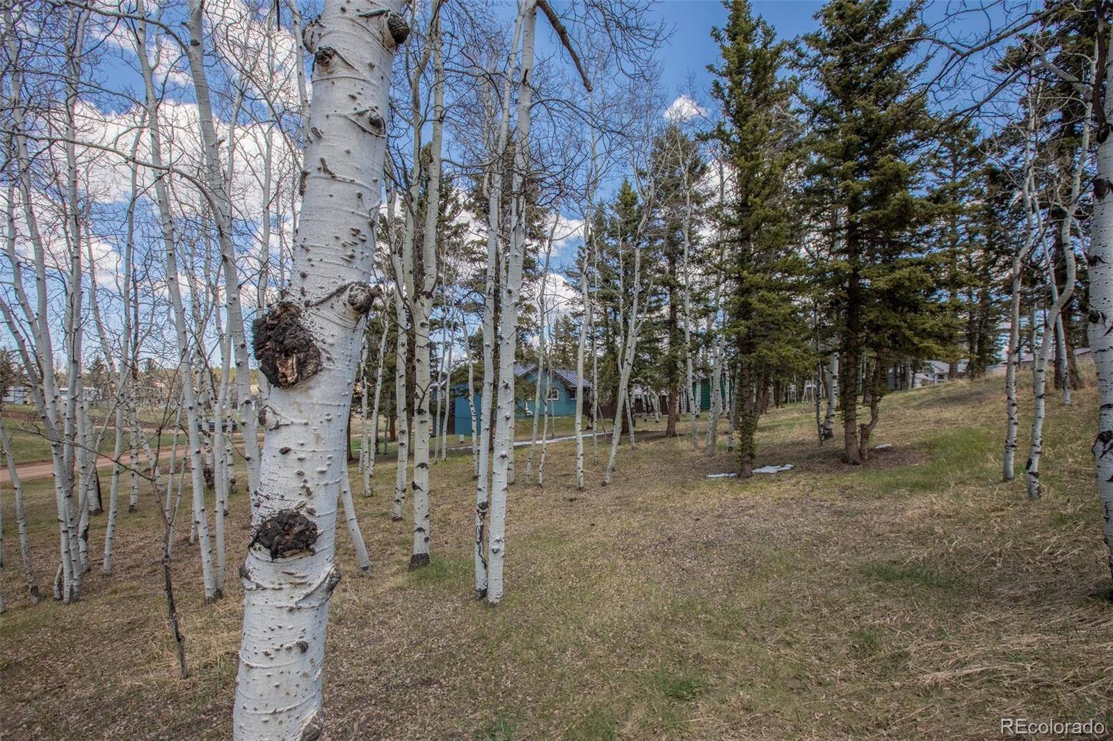 571 Will Scarlet DR, Divide, CO 80814