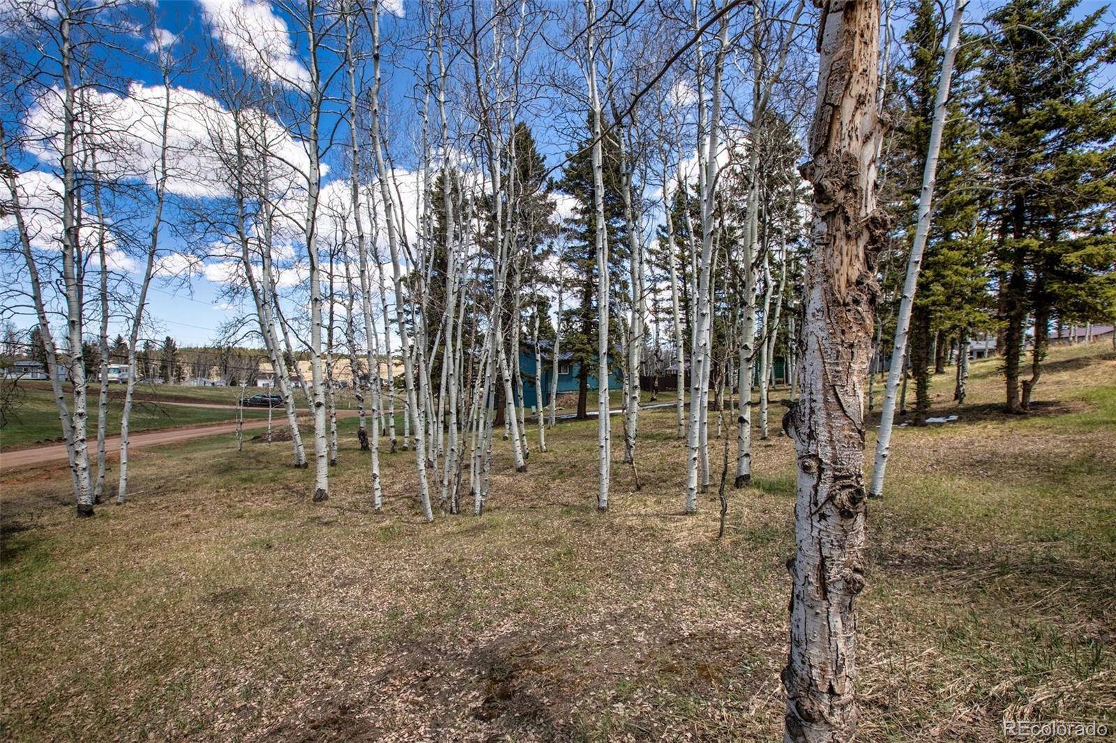 571 Will Scarlet DR, Divide, CO 80814