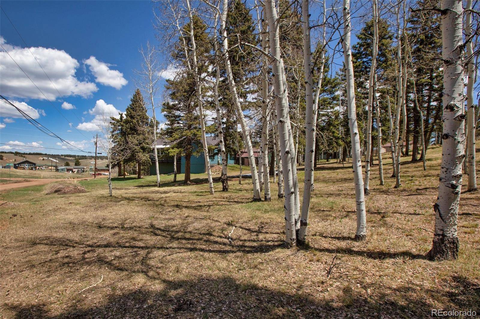 571 Will Scarlet DR, Divide, CO 80814