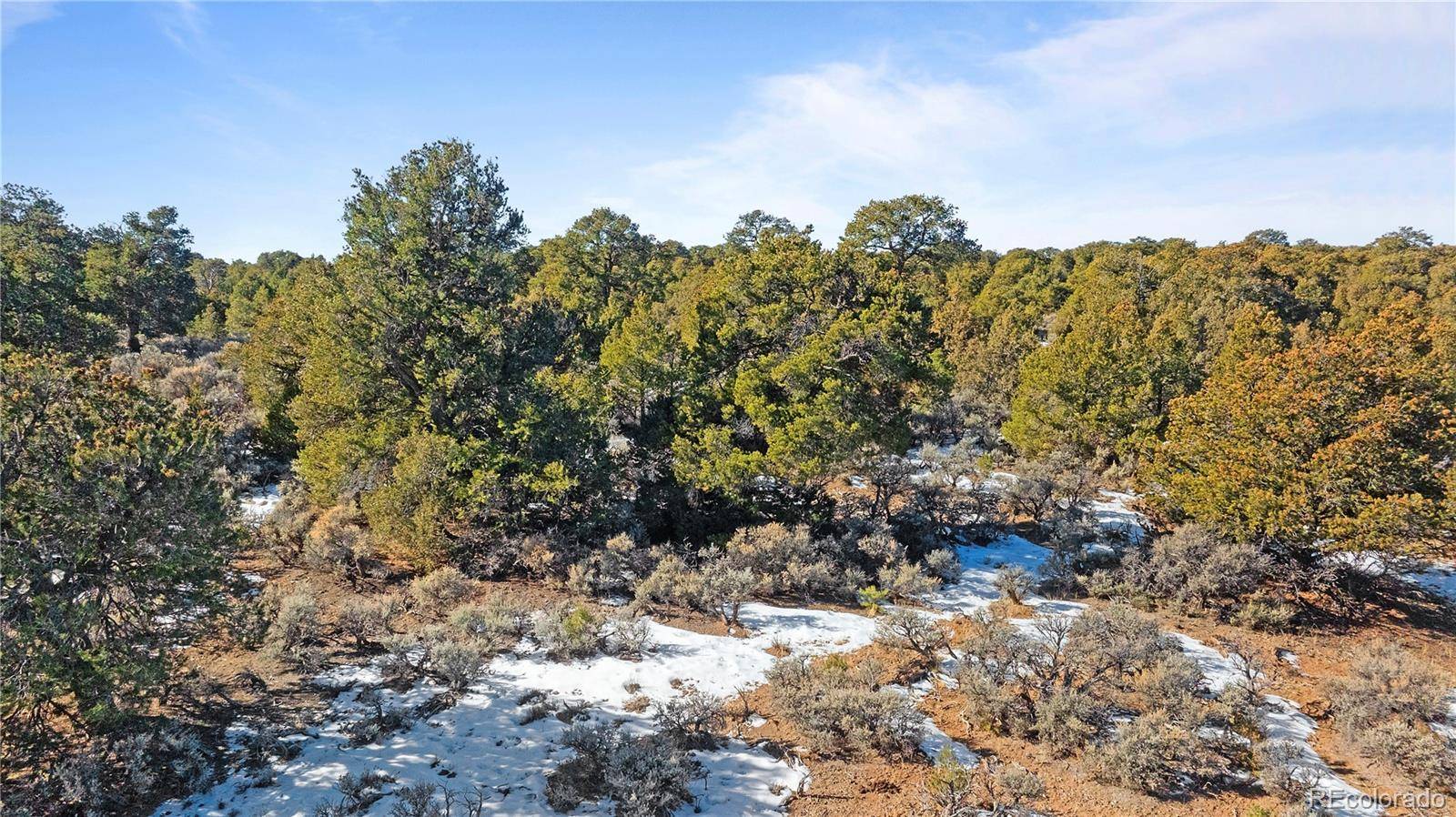 Lot 90 Elk Park RD, San Luis, CO 81152