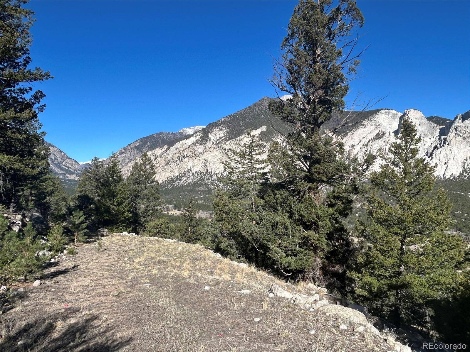 Falcon DR, Nathrop, CO 81236