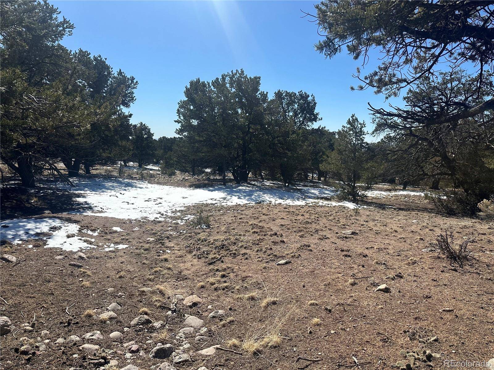 1223 Brookview WAY, Crestone, CO 81131