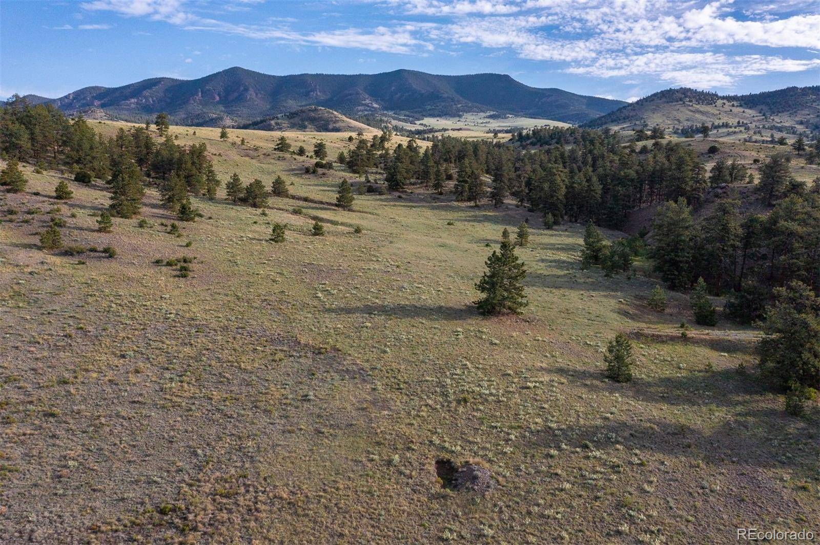0 Big Buck Road, Guffey, CO 80820