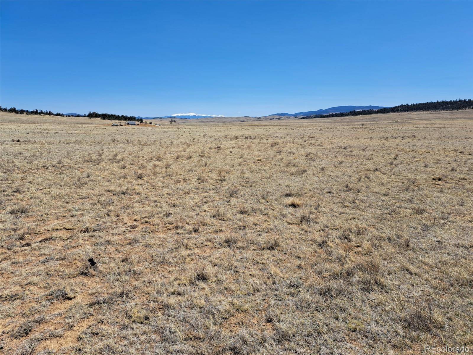 00 Chickasaw RD, Hartsel, CO 80449