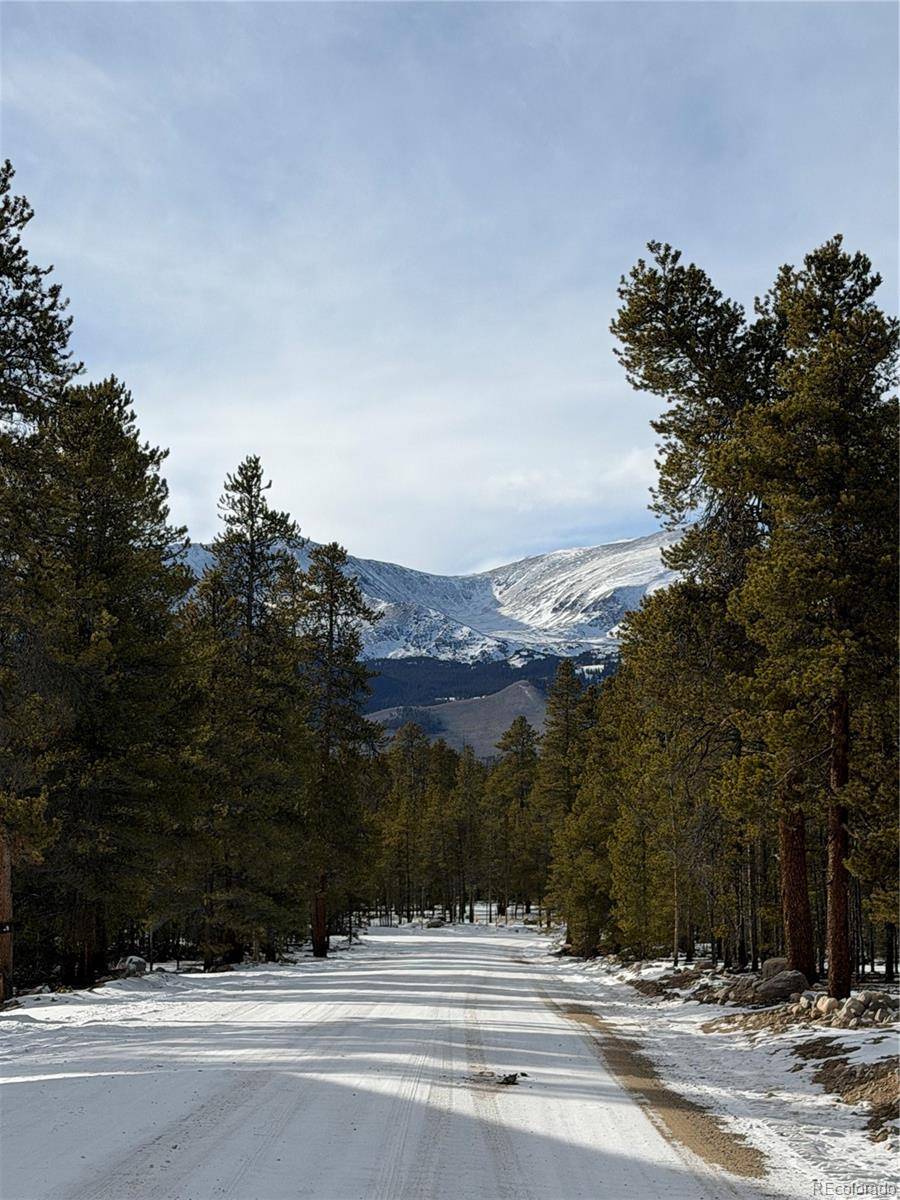 379 Peak View DR, Leadville, CO 80461