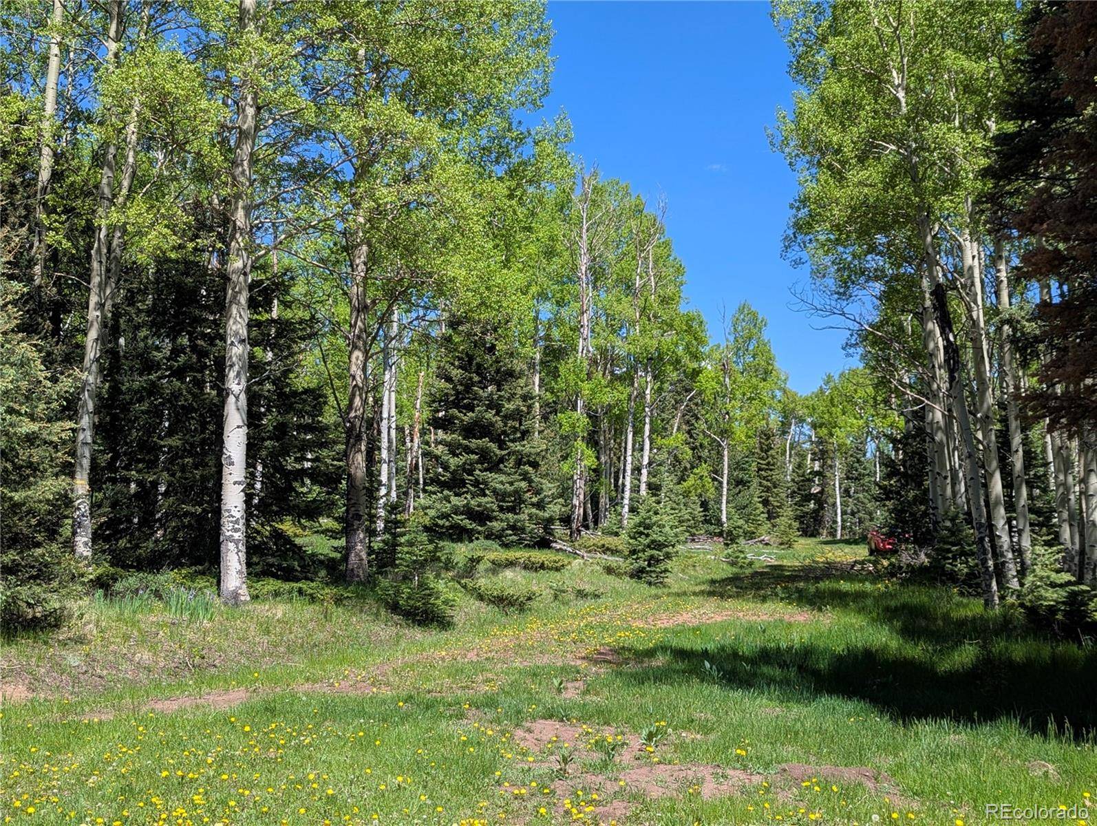 3119-3121 Segal PL, Fort Garland, CO 81133