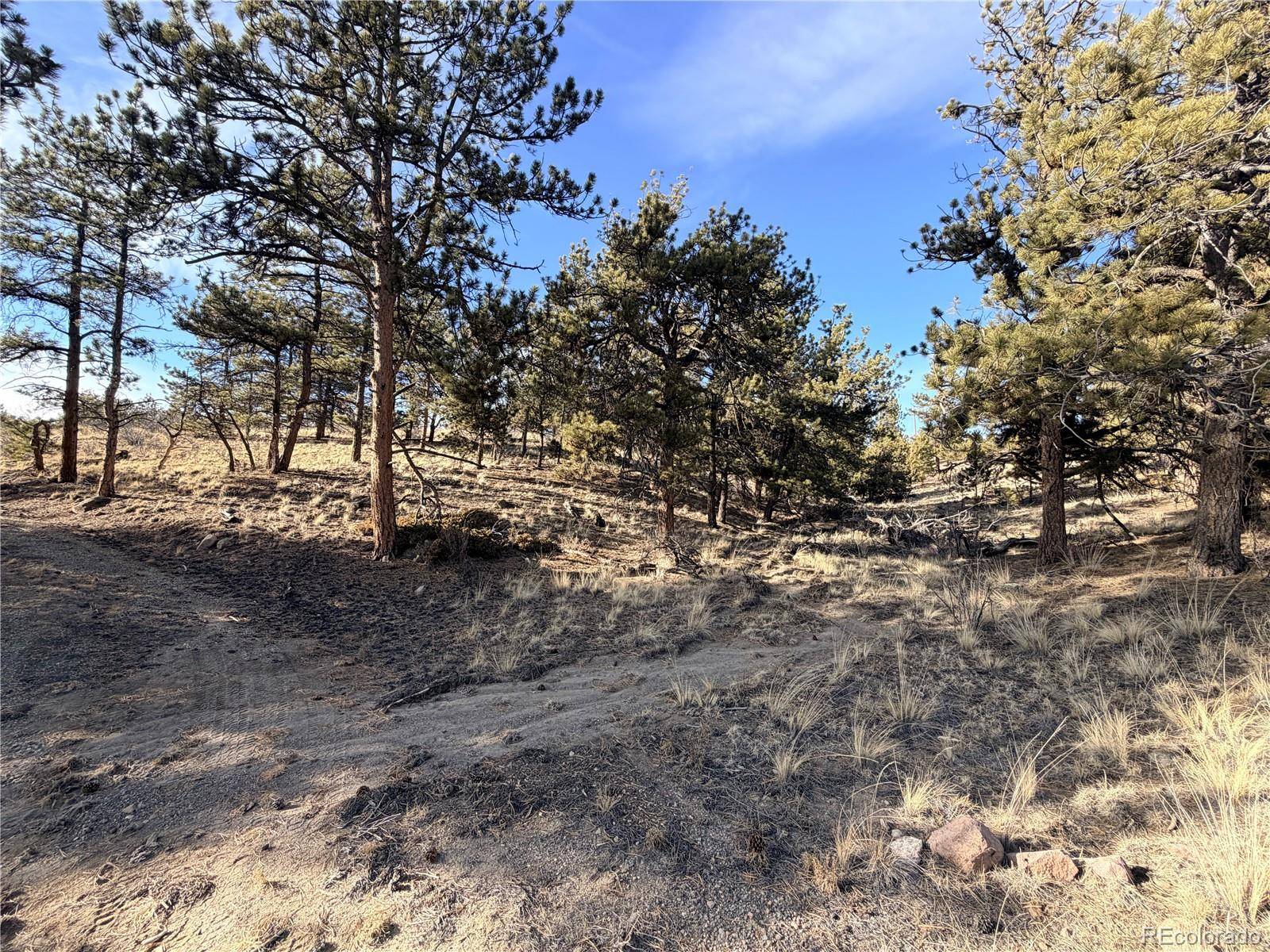 729 Bridle PATH, Hartsel, CO 80449