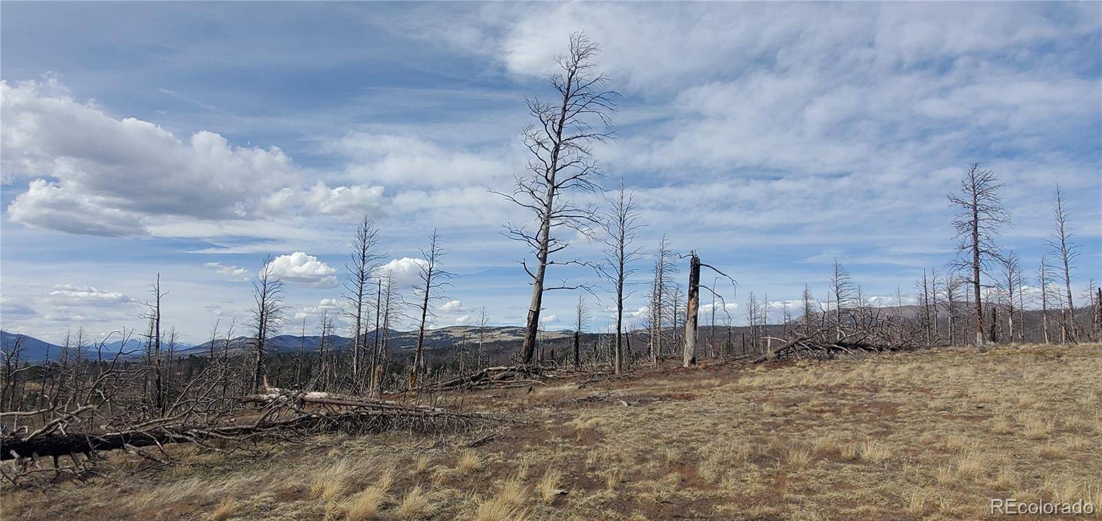 Lot 1227 Granville LOOP, Fort Garland, CO 81133