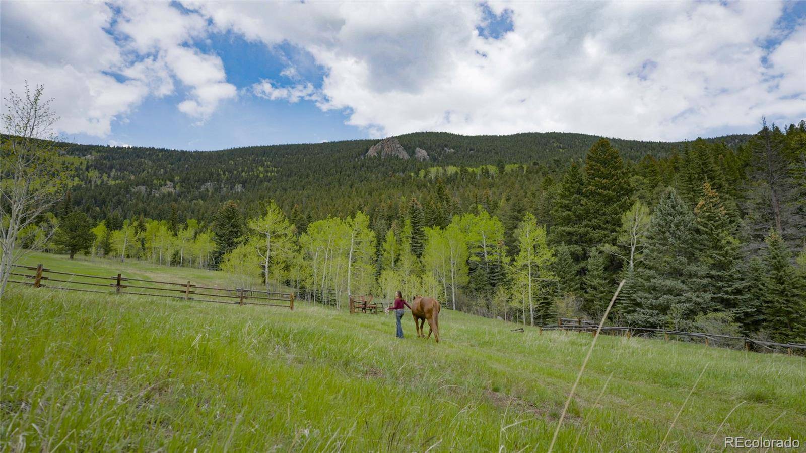 950 Corral Creek RD, Evergreen, CO 80439