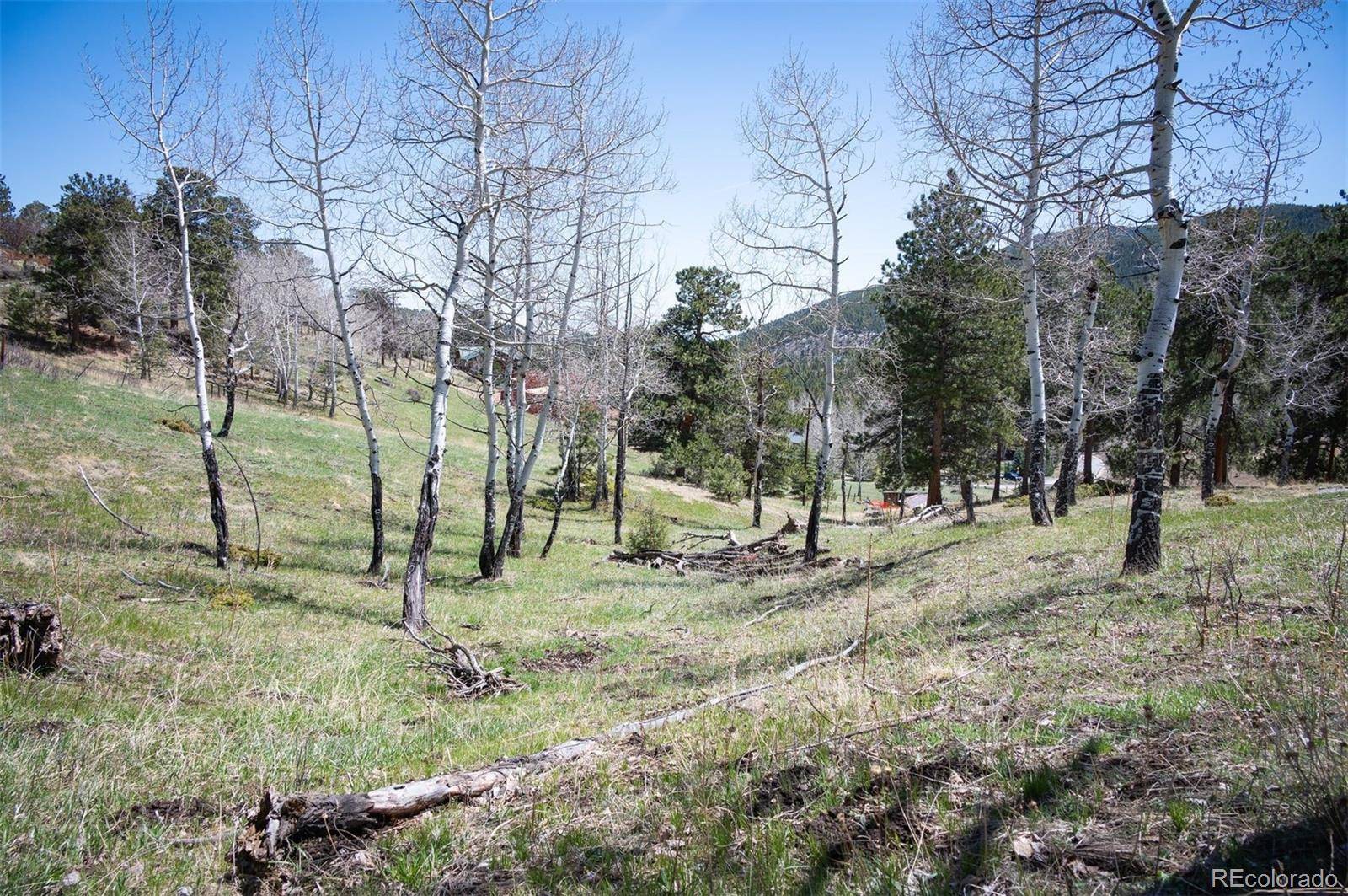 TBD Pine Valley RD, Evergreen, CO 80439