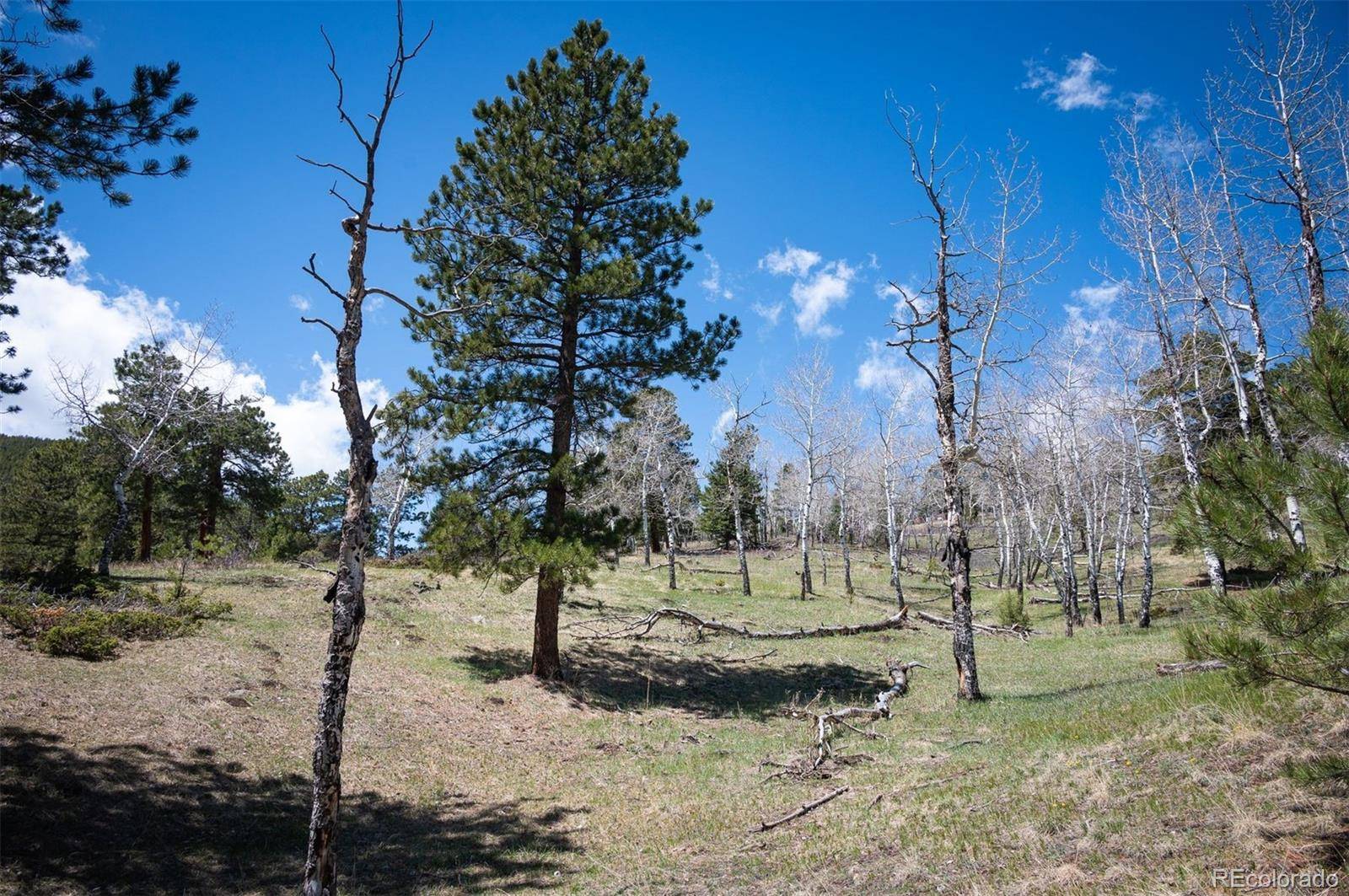 TBD Pine Valley RD, Evergreen, CO 80439