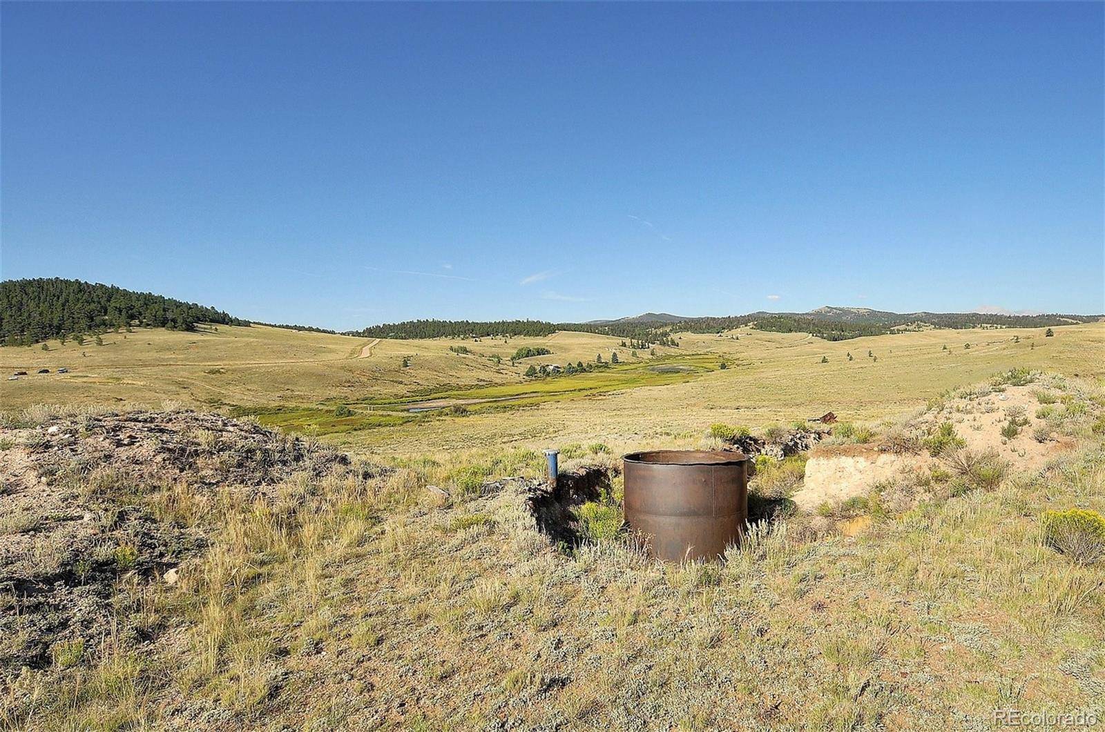1245 Badger Creek RD, Hartsel, CO 80449