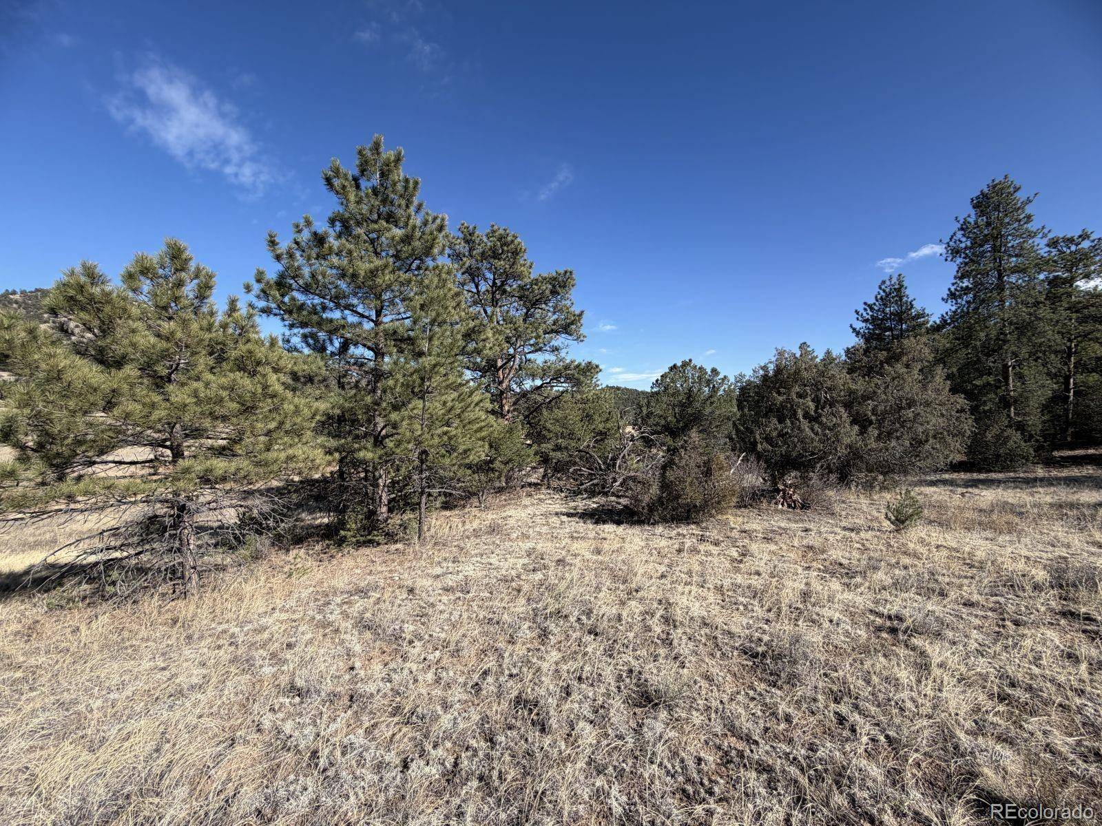 000 Canyon RD, Cotopaxi, CO 81223