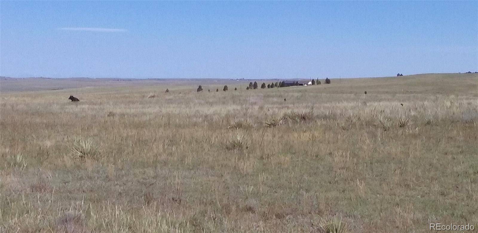 12115 St Hwy 86 HWY, Kiowa, CO 80117