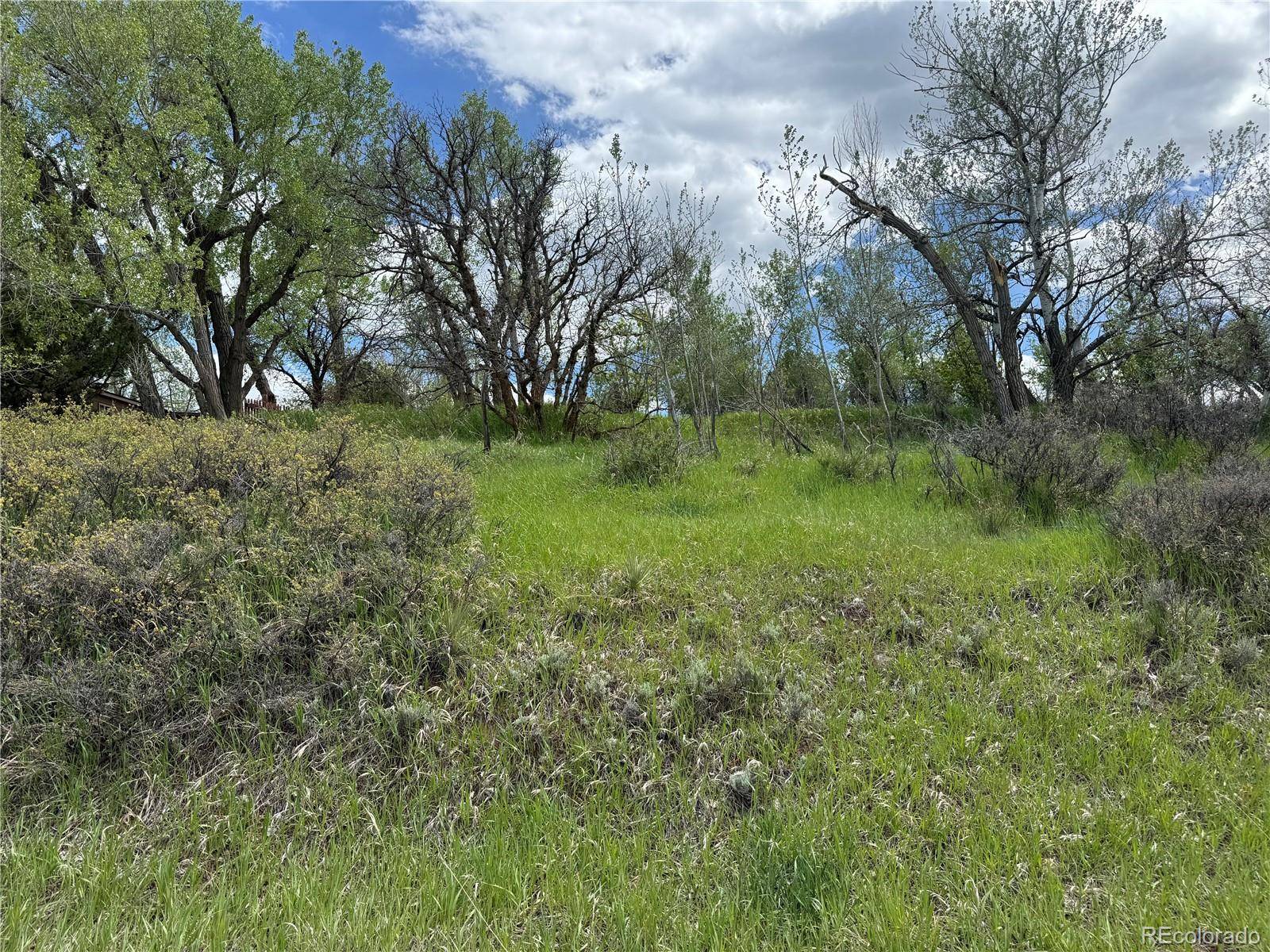 W Ryus, La Veta, CO 81055