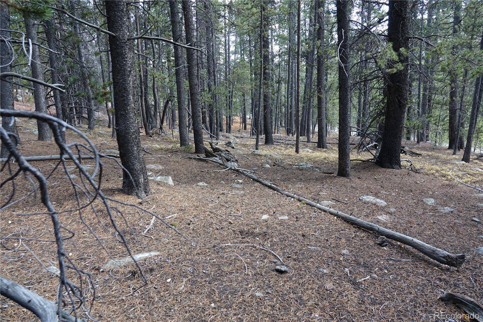 000 Loch Lomond Rd & Vista Rd, Idaho Springs, CO 80452