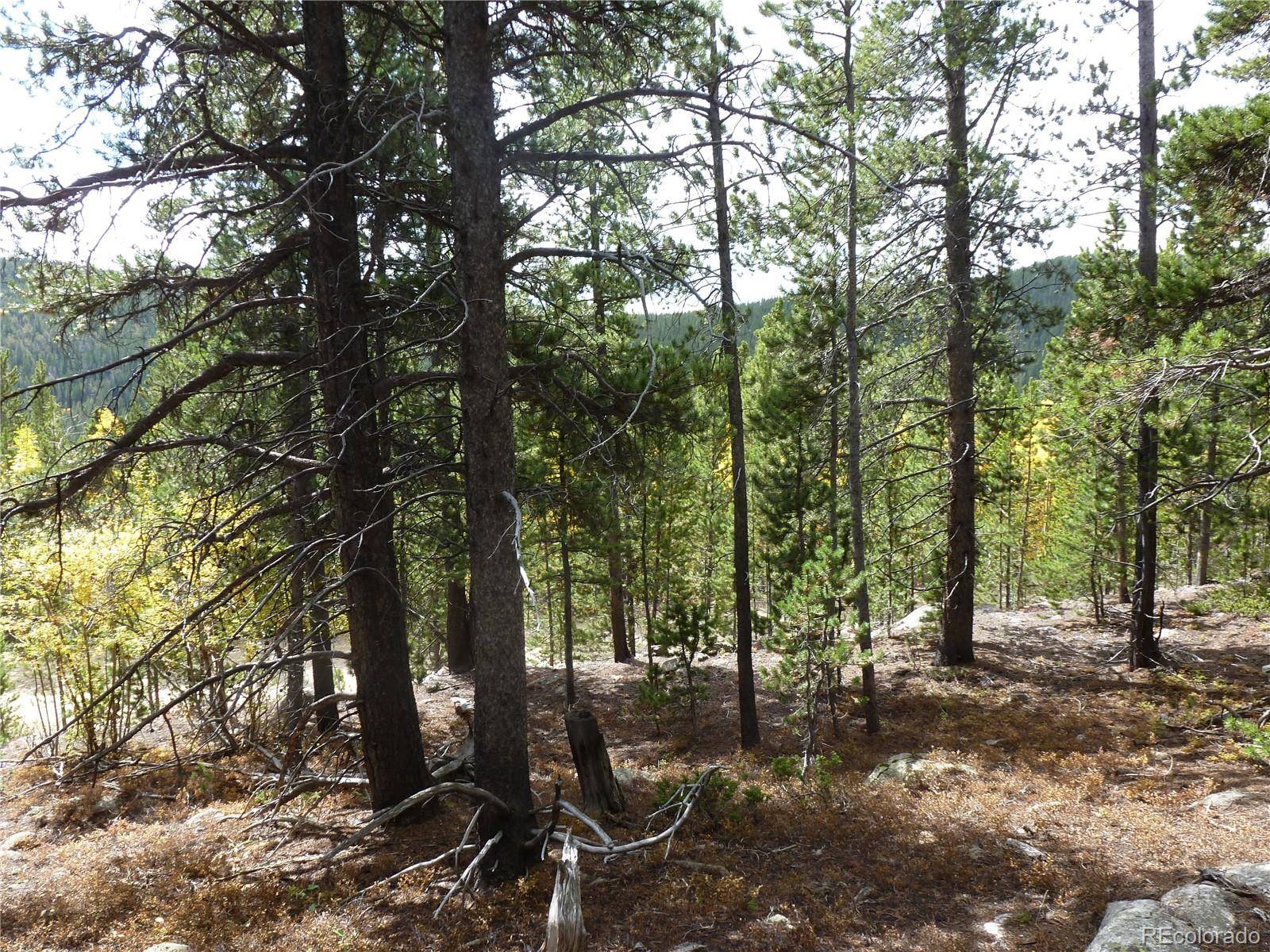 000 Loch Lomond Rd & Vista Rd, Idaho Springs, CO 80452