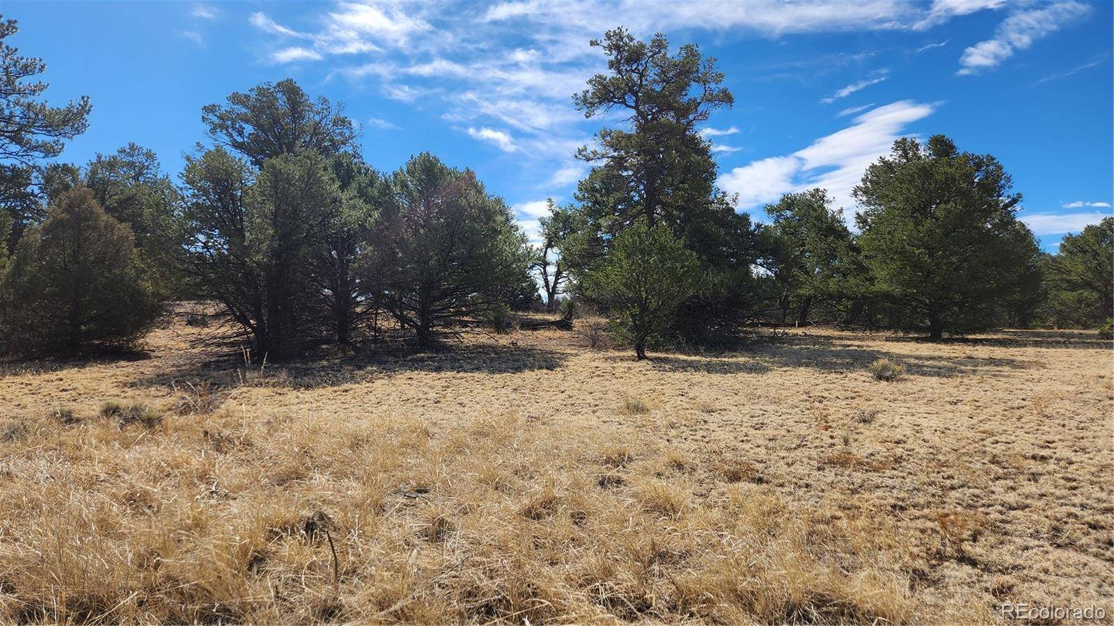 TBD L I PATH, Cotopaxi, CO 81223