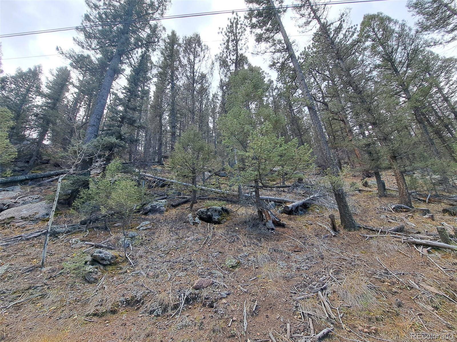 1077 Roland DR, Bailey, CO 80421
