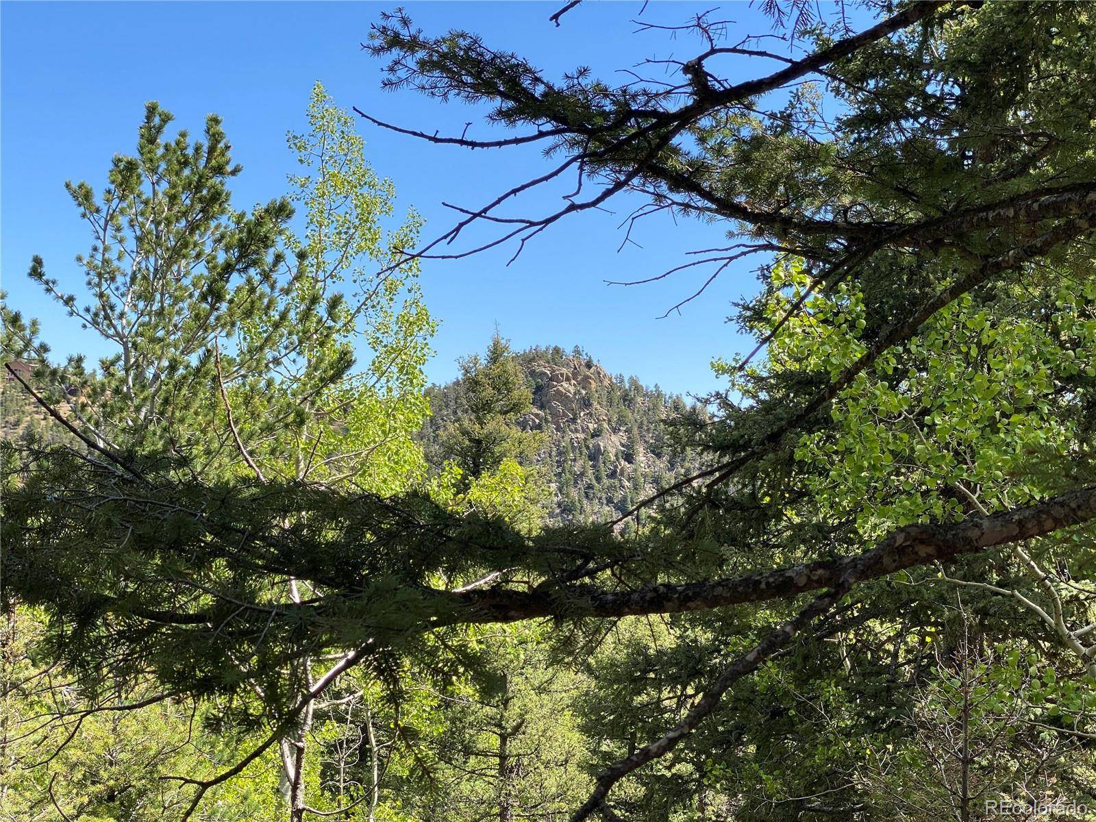 210 Waterfall LOOP, Manitou Springs, CO 80829