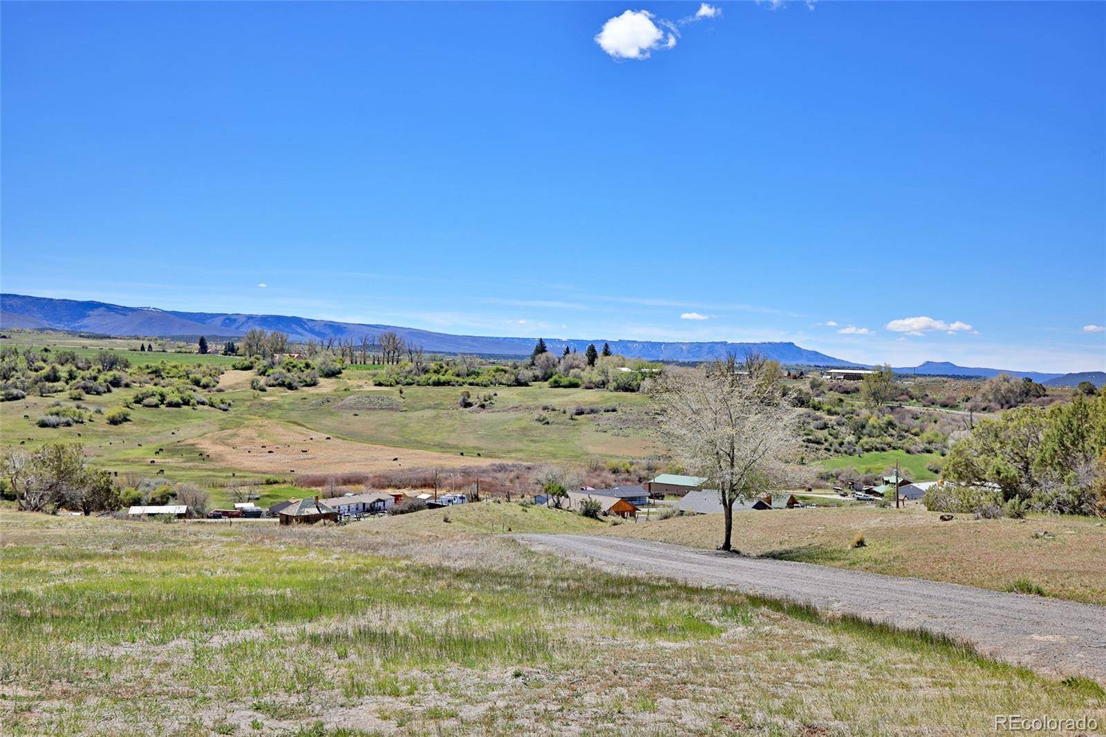 58798 Delores DR, Collbran, CO 81624