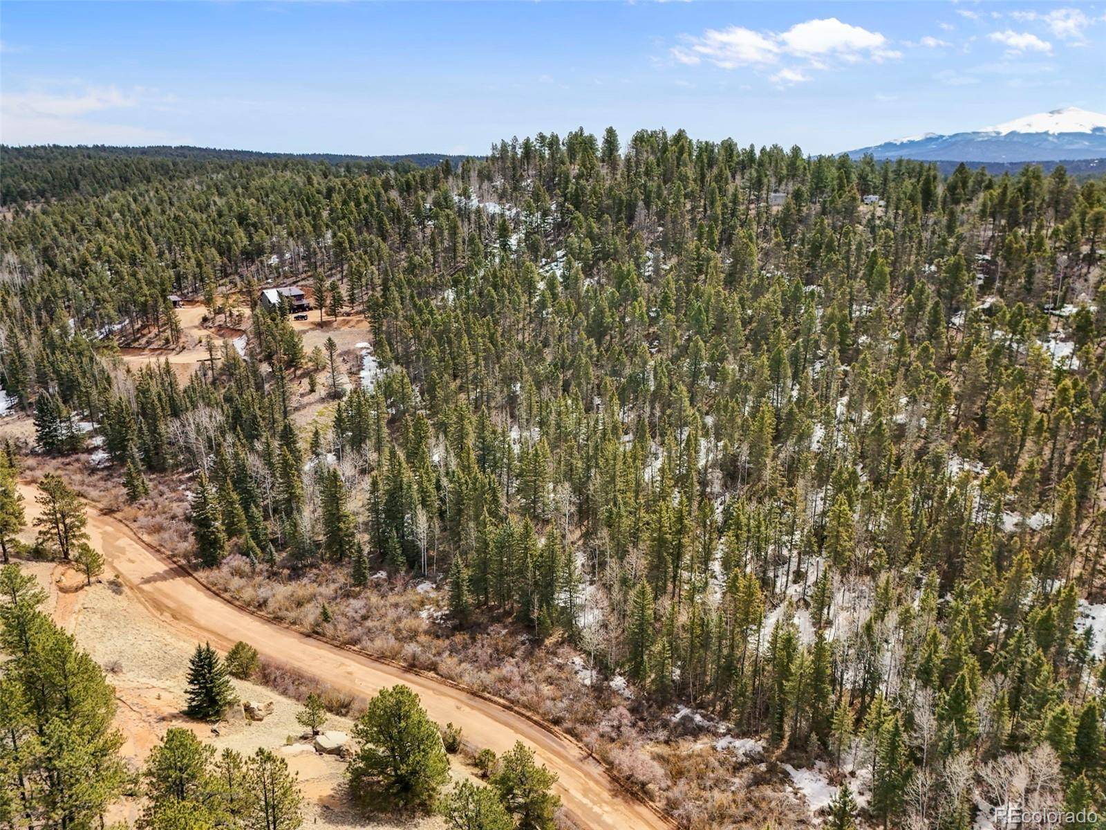 464 E Bison Creek TRL, Florissant, CO 80816