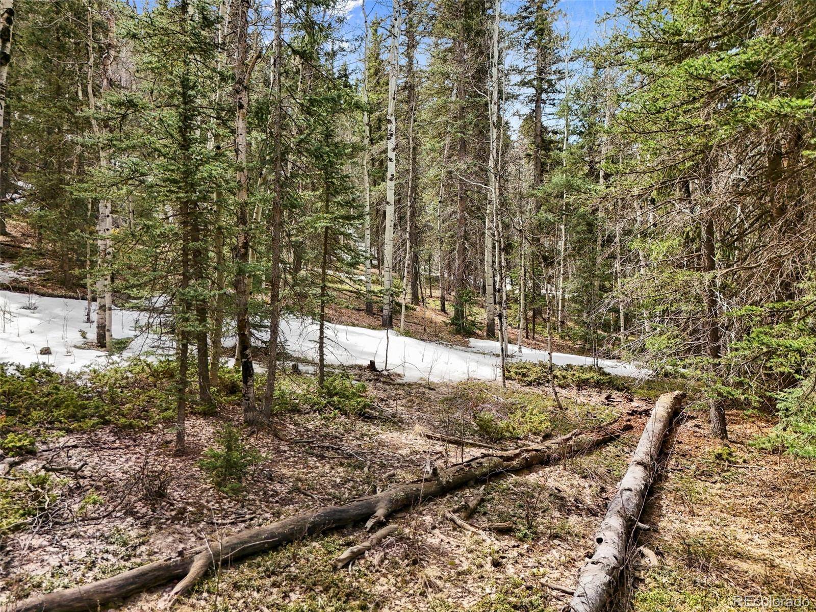 464 E Bison Creek TRL, Florissant, CO 80816