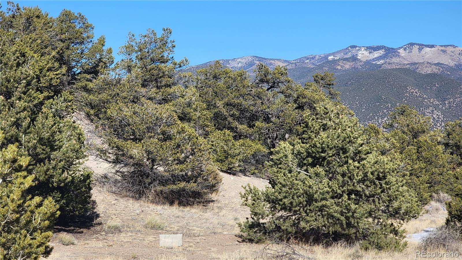 5460 Greenhorn CIR, Salida, CO 81201