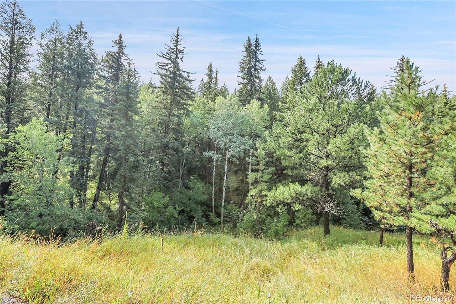 TBD Mountain Park RD, Evergreen, CO 80439