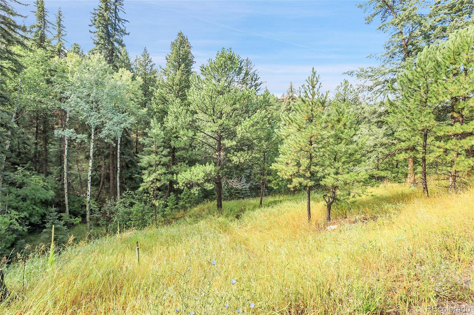 TBD Mountain Park RD, Evergreen, CO 80439