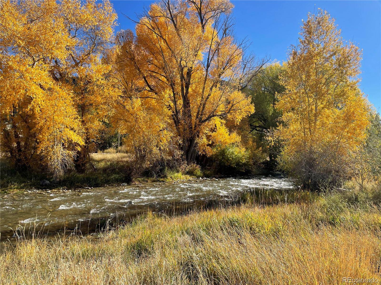 306 Southside LOOP, Salida, CO 81201