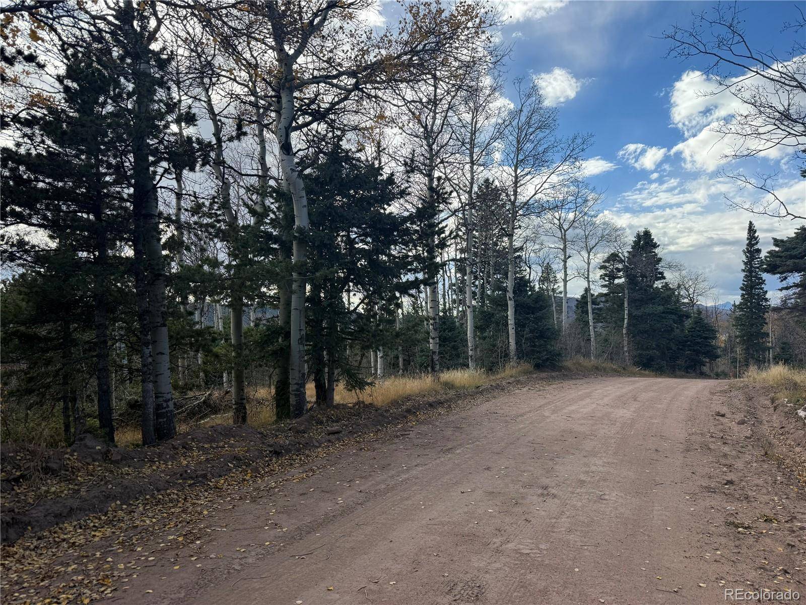 2663 Petito DR, Fort Garland, CO 81133