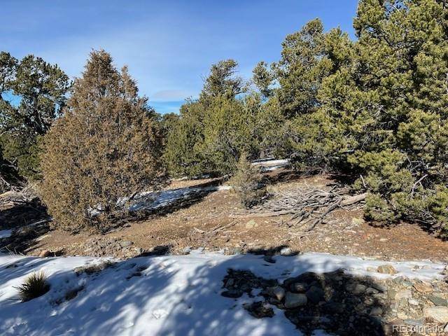 209 Blanca PL, Mosca, CO 81146