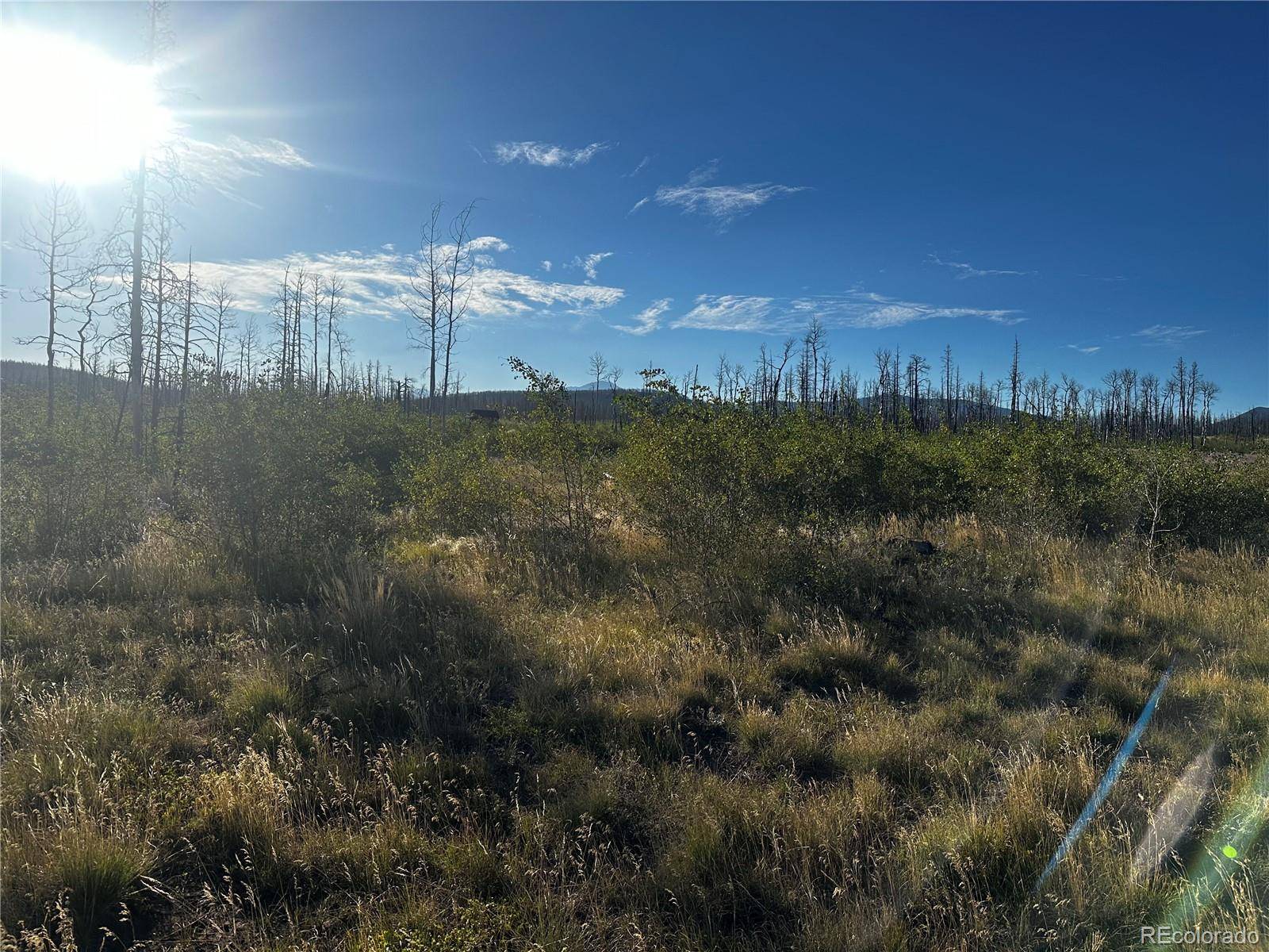 1312 Claytor LN, Fort Garland, CO 81133